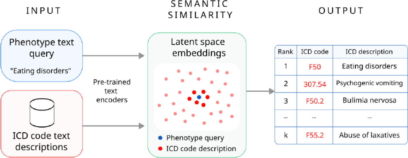 Phecoder semantic retrieval workflow